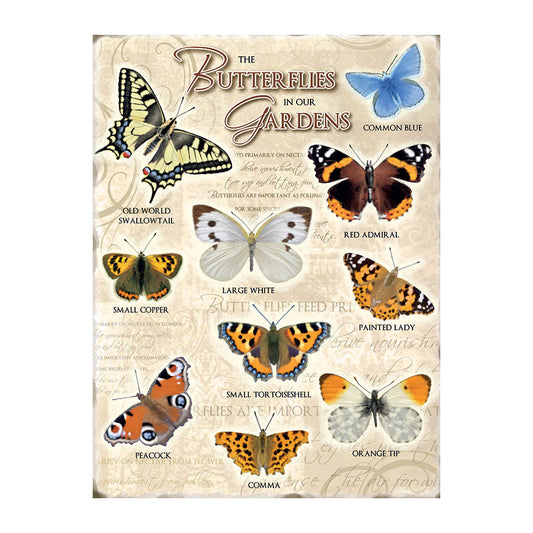 Butterflies in our Gardens (Small)