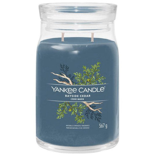 Bayside Cedar - Signature Large Jar Scented Candle