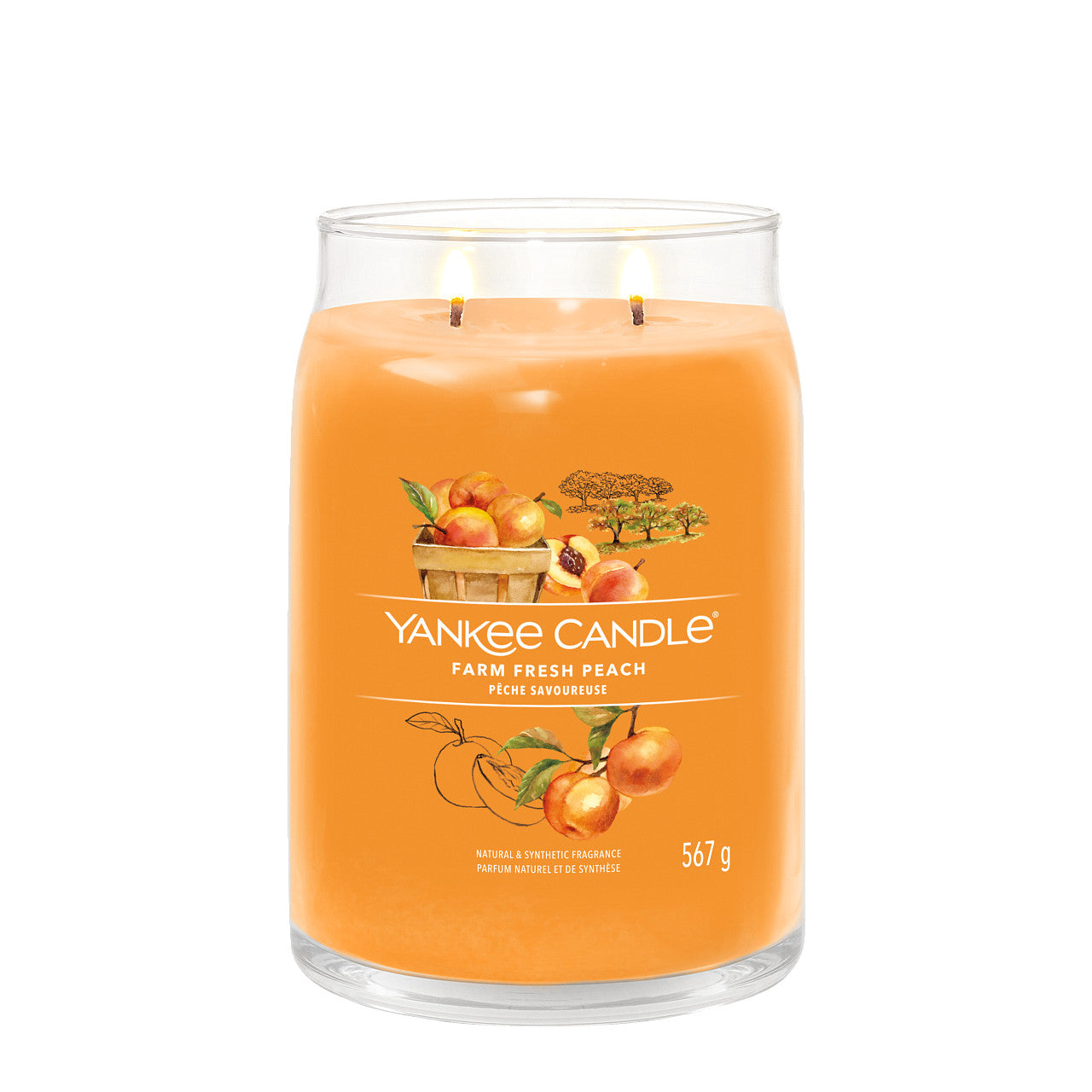 Farm Fresh Peach - Signature Large Jar Scented Candle