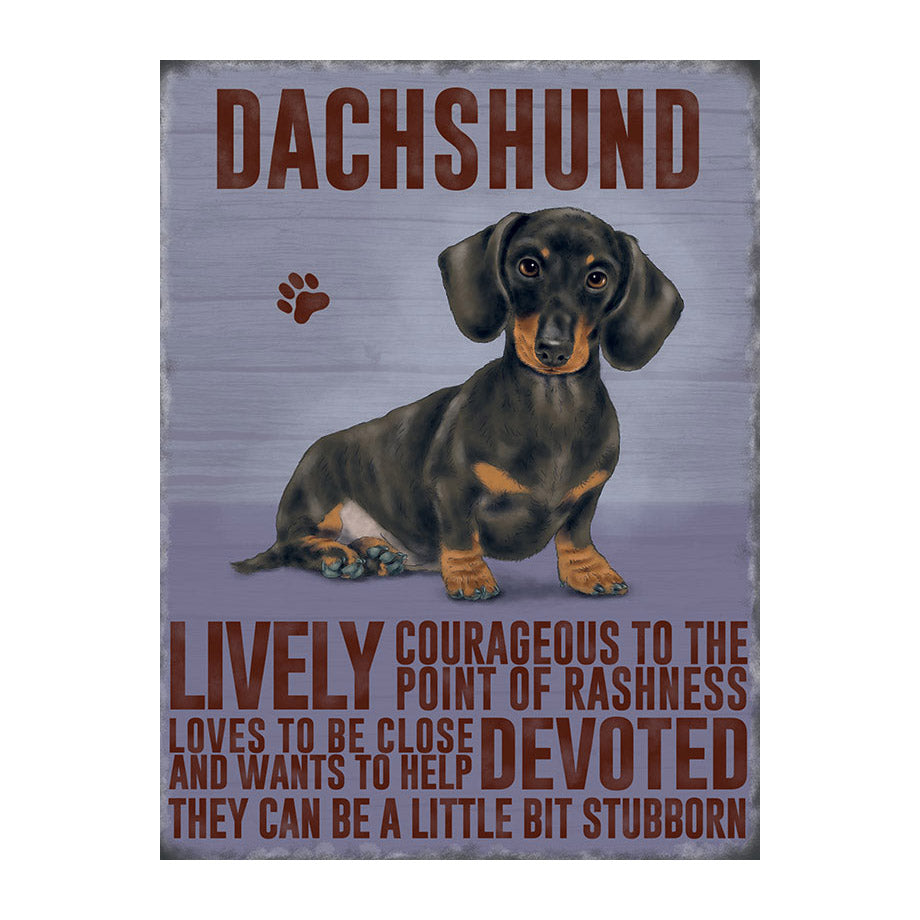 Dachshund (Small)
