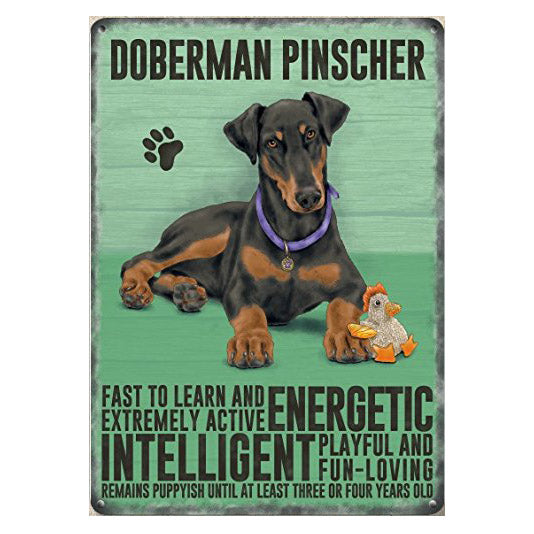 Doberman (Small)