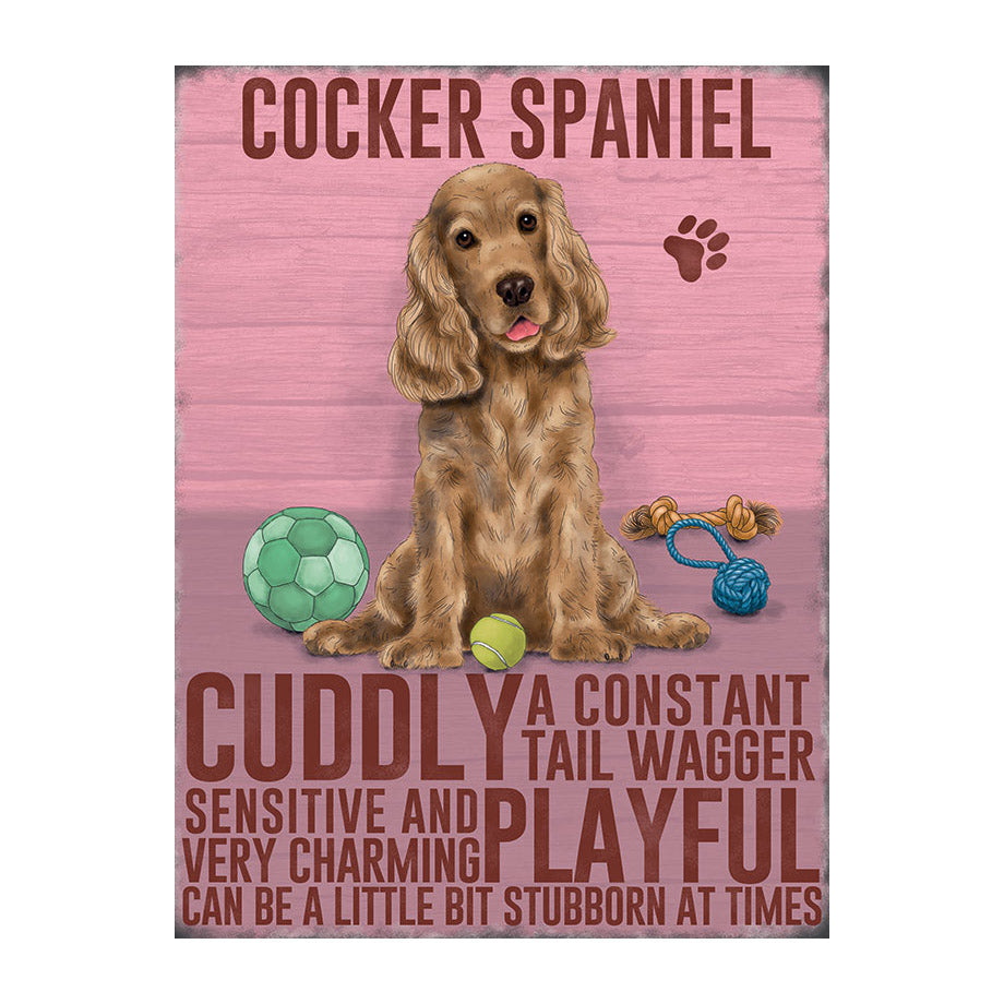 Golden Red Cocker Spaniel (Small)