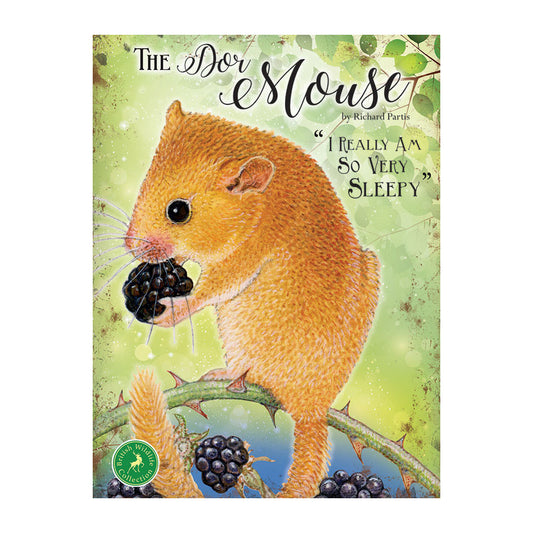 Dormouse - I Really Am So Very Sleepy (Small)