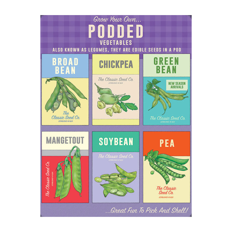 Grow your own Podded Vegetables (Small)