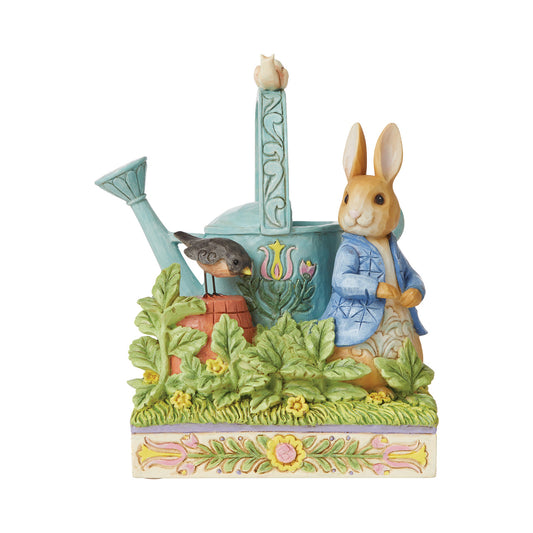 Peter Rabbit - caught in garden