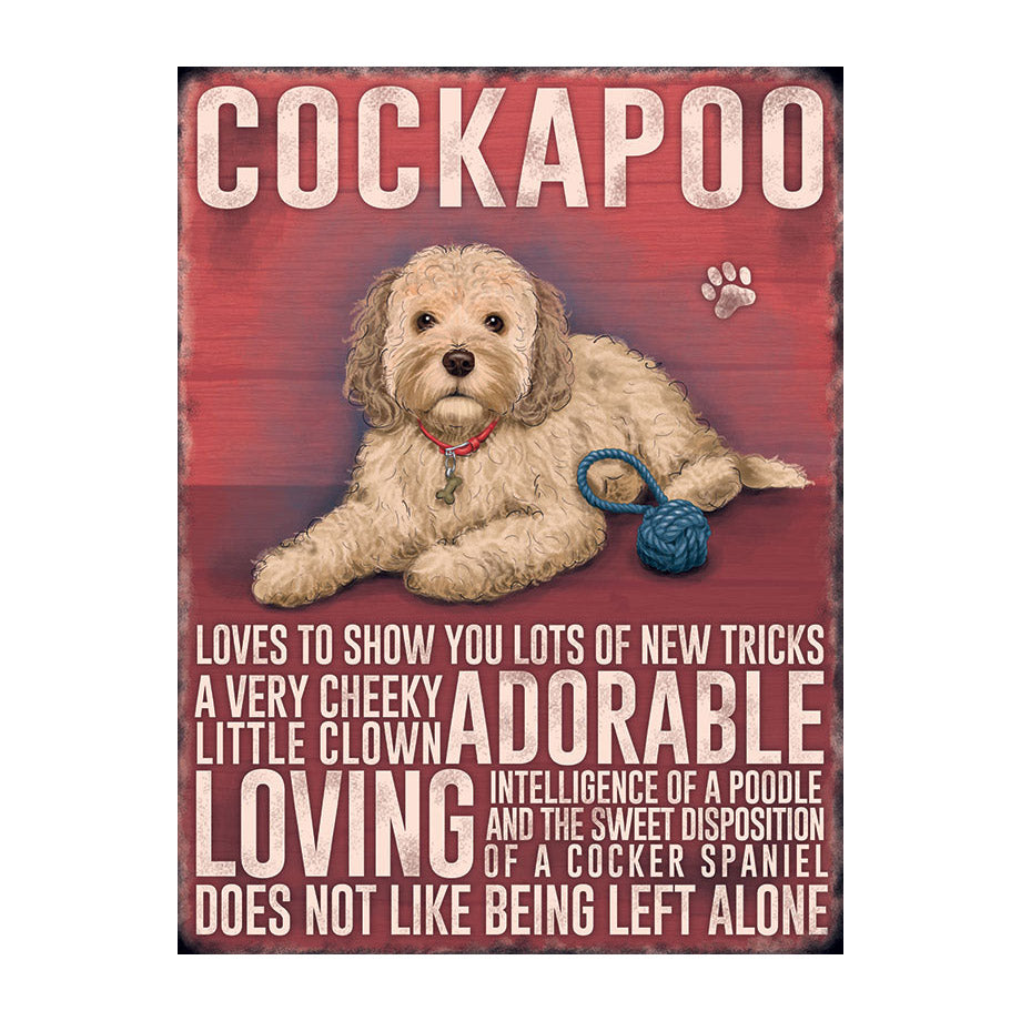 Cream Cockapoo (Small)