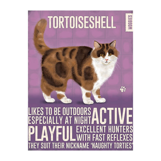 Tortoiseshell Cat (Small)