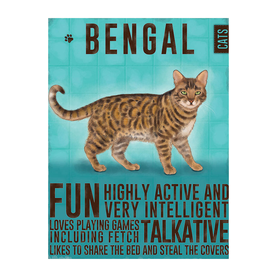 Bengal Cat (Small)