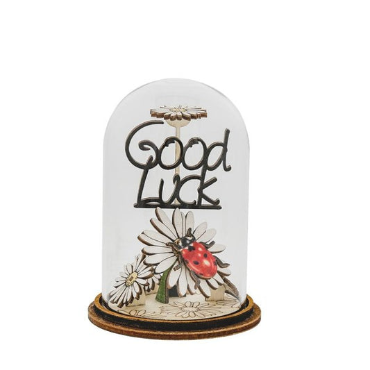 Good Luck