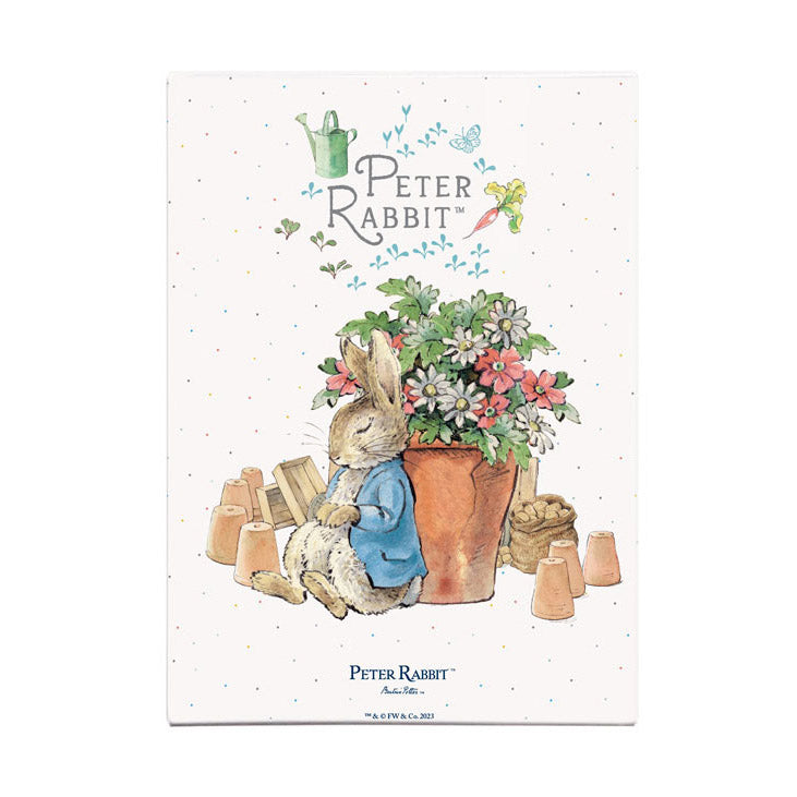 Beatrix Potter - Peter Rabbit Sleeping by Flower Pots (Fridge Magnet)