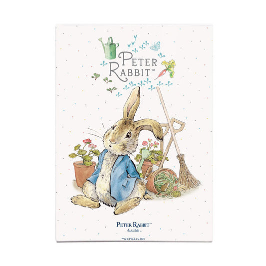 Beatrix Potter - Peter Rabbit and Mouse in Pot (Fridge Magnet)