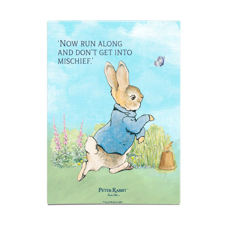 Beatrix Potter - Peter Rabbit - Now run along and don't get into mischief (Fridge Magnet)