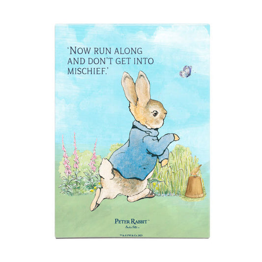 Beatrix Potter - Peter Rabbit - Now run along and don't get into mischief (Fridge Magnet)