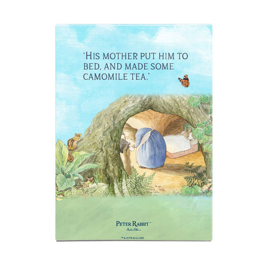 Beatrix Potter - Mrs Rabbit - His Mother put him to bed… (Fridge Magnet)