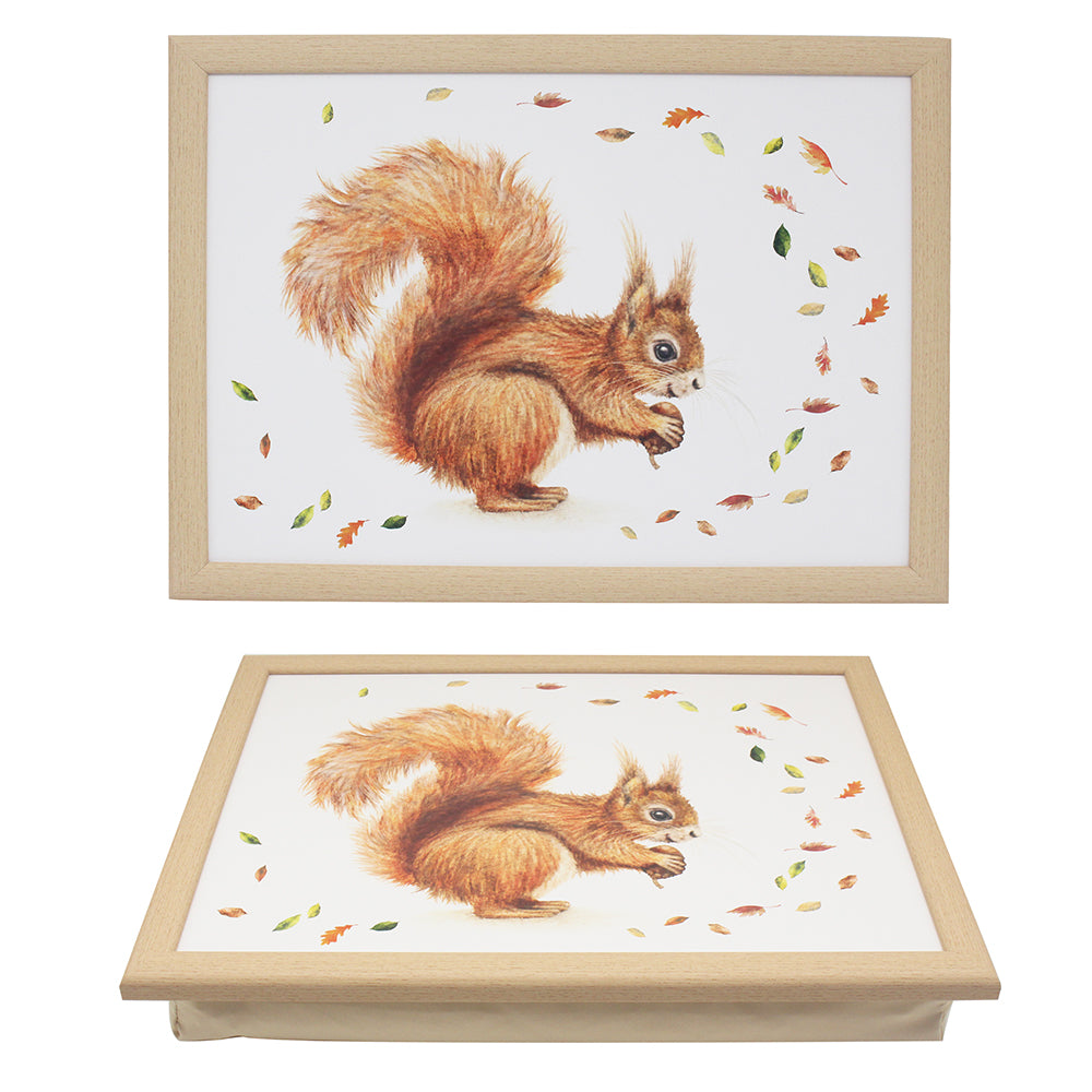 Garden Wildlife - Squirrel Lap Tray