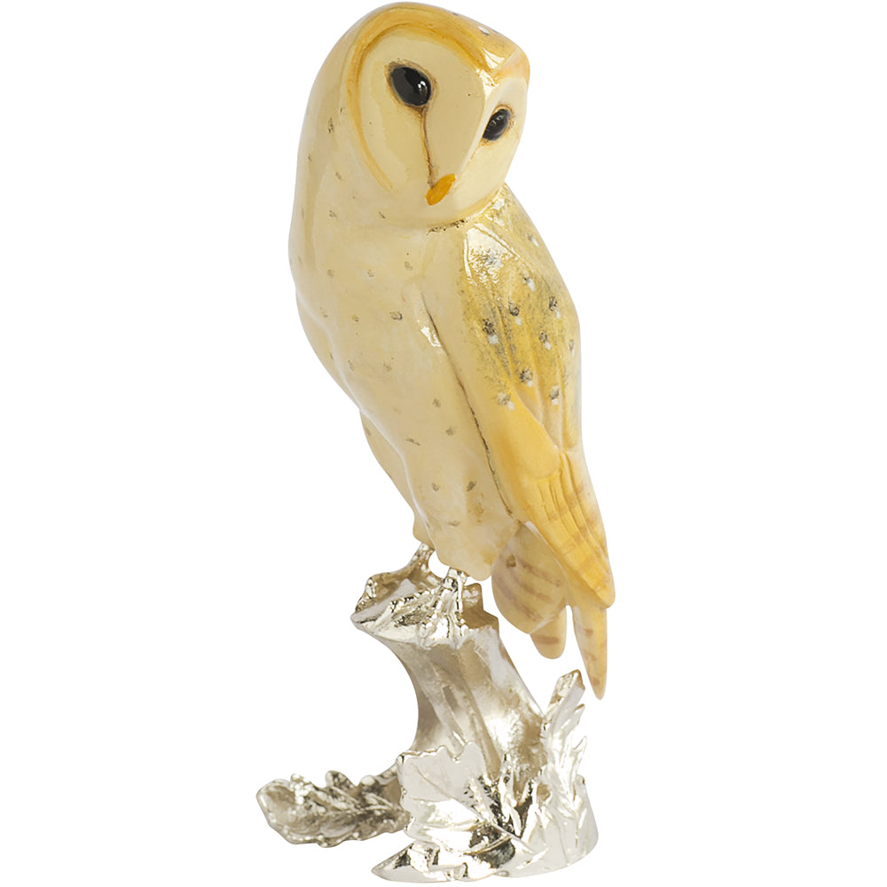 Barn Owl