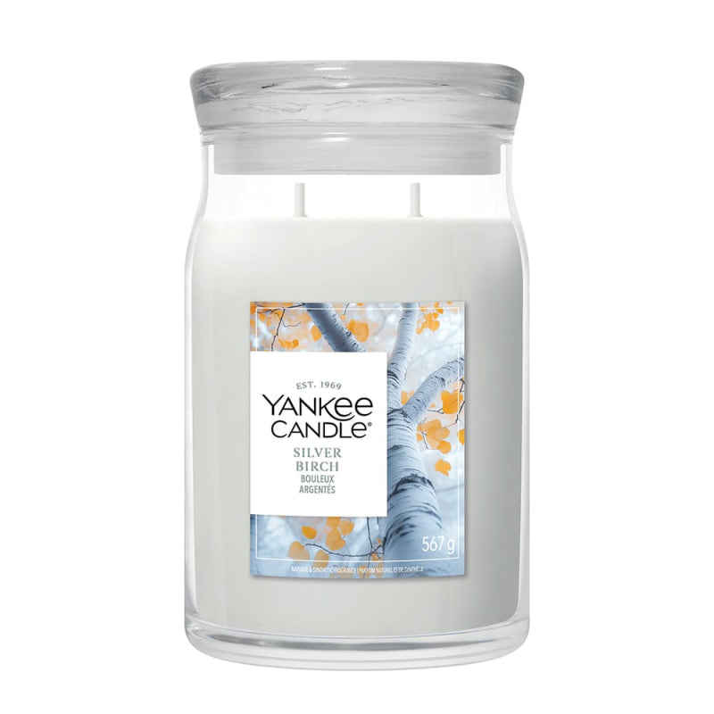 Silver Birch - Signature Large Jar Scented Candle
