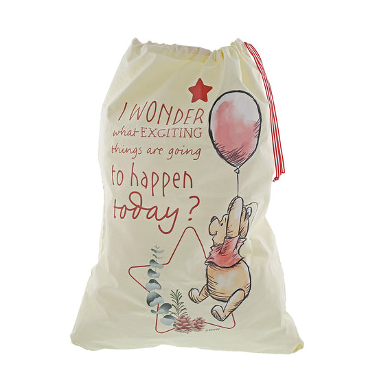 Winnie the Pooh Christmas Sack