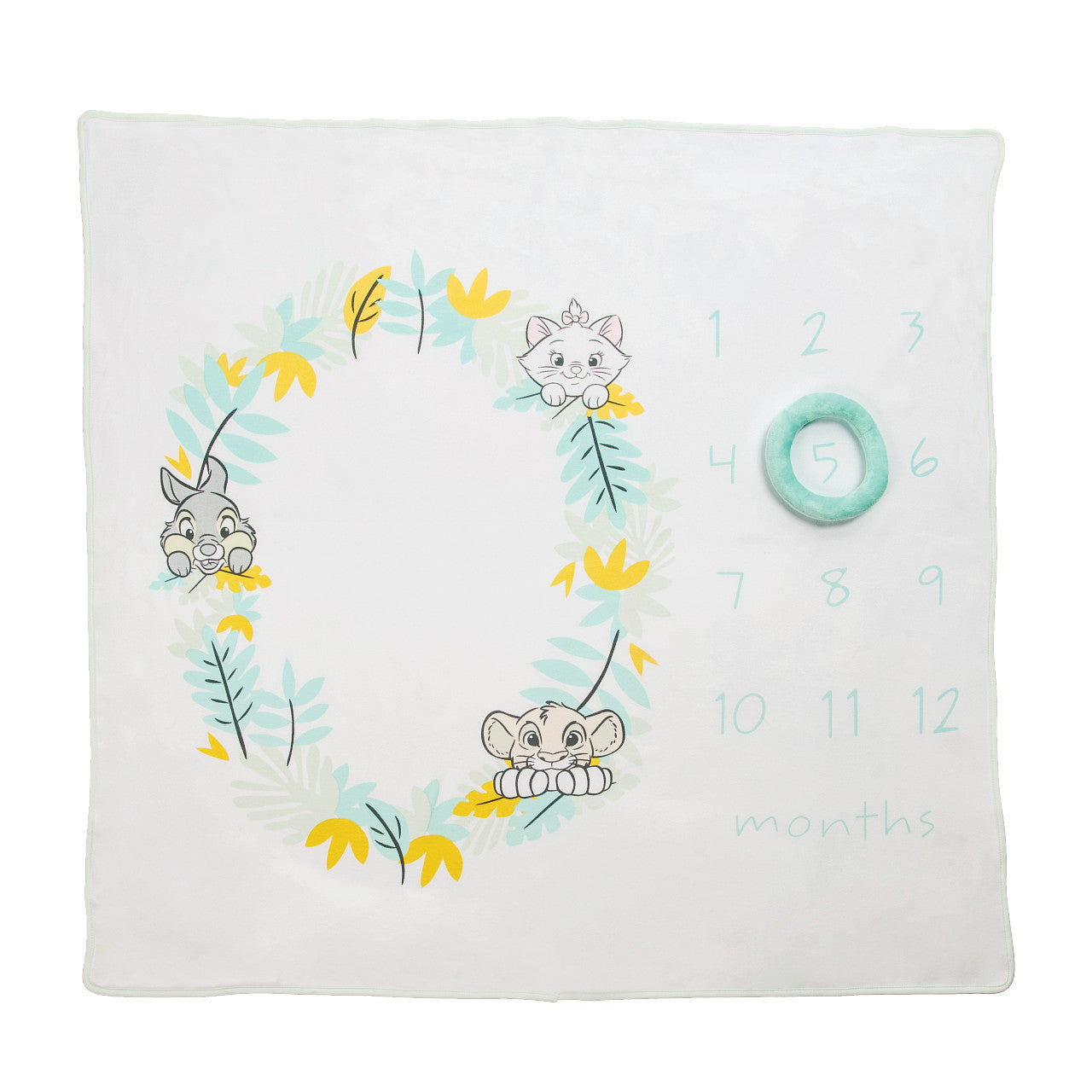 Disney Baby Milestone Blanket