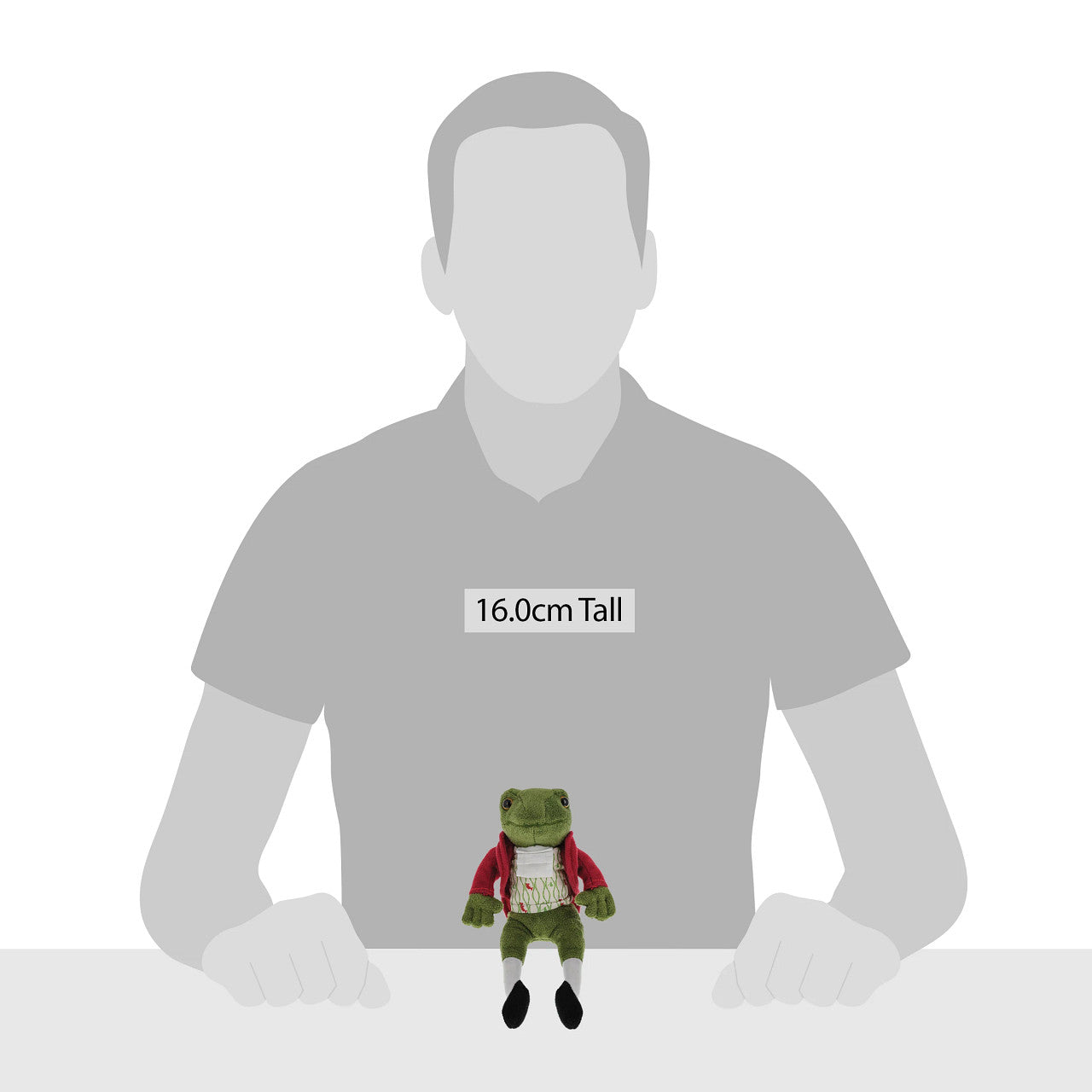 Mr. Jeremy Fisher (Small)