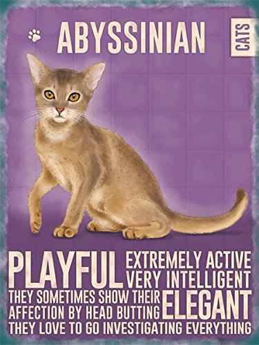 Abyssinian Cat (Small)
