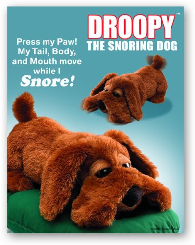 Droopy - Snoring Dog