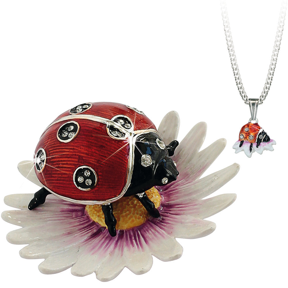 Ladybird