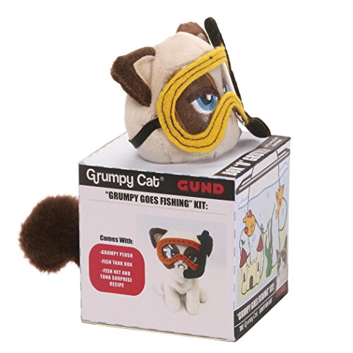 Box 'O' Grump - Grumpy Cat Goes Fishing
