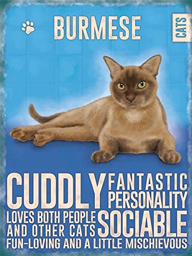 Burmese Cat (Small)