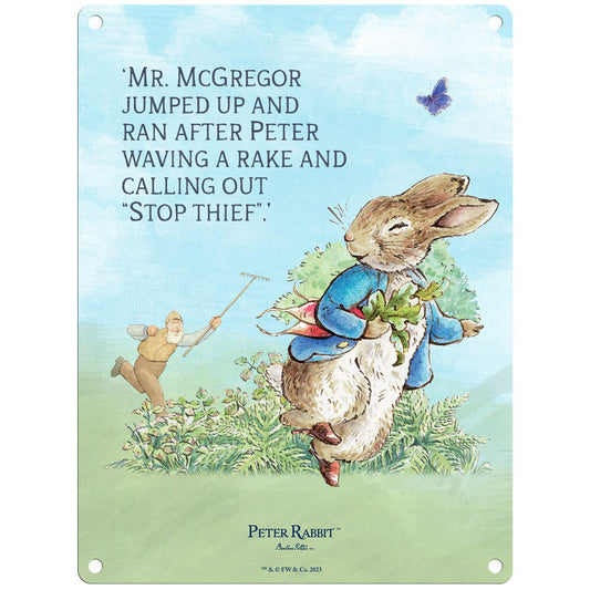 Beatrix Potter - Peter Rabbit - Mr McGregor jumped up and ran after Peter… (Medium)