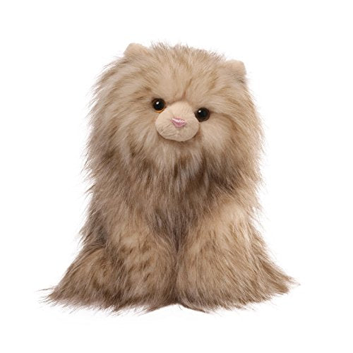 Paxton Cat