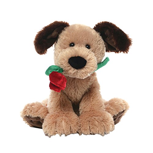 Deangelo (dog with rose)