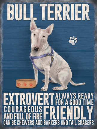 English Bull Terrier (Small)