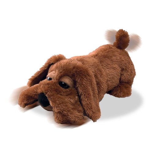 Droopy - Snoring Dog