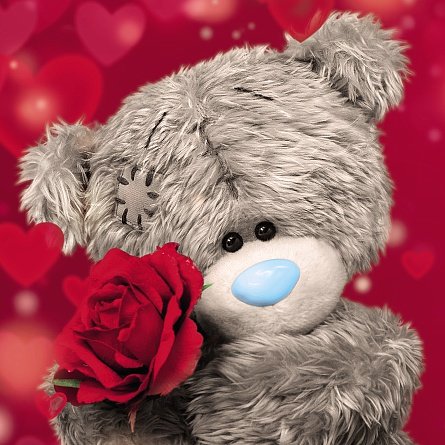 Bear with Rose With Love Greetings Card (3D Holographic)