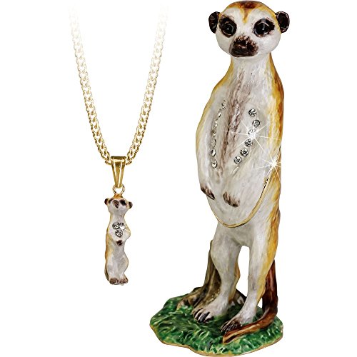 Meerkat