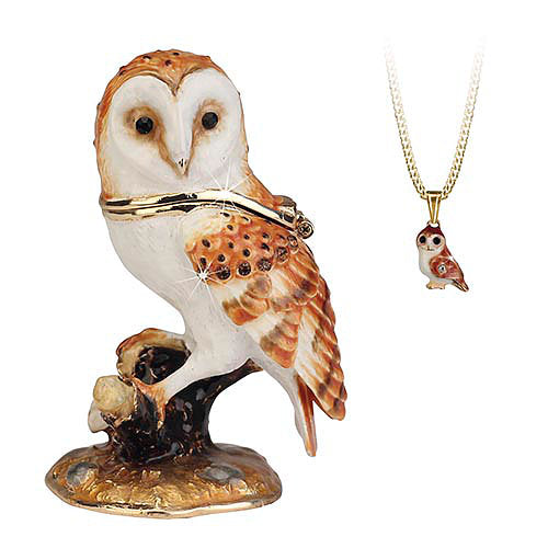 Barn Owl