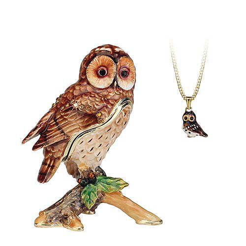 Tawny Owl