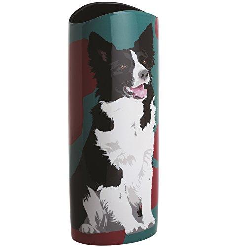 Collie Dog