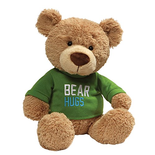 Bear Hugs Bear