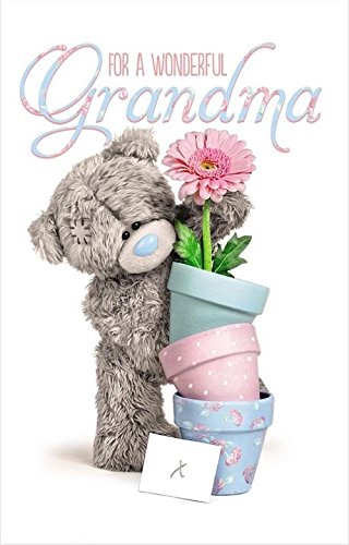 For a Wonderful Grandma - Mother's Day Card