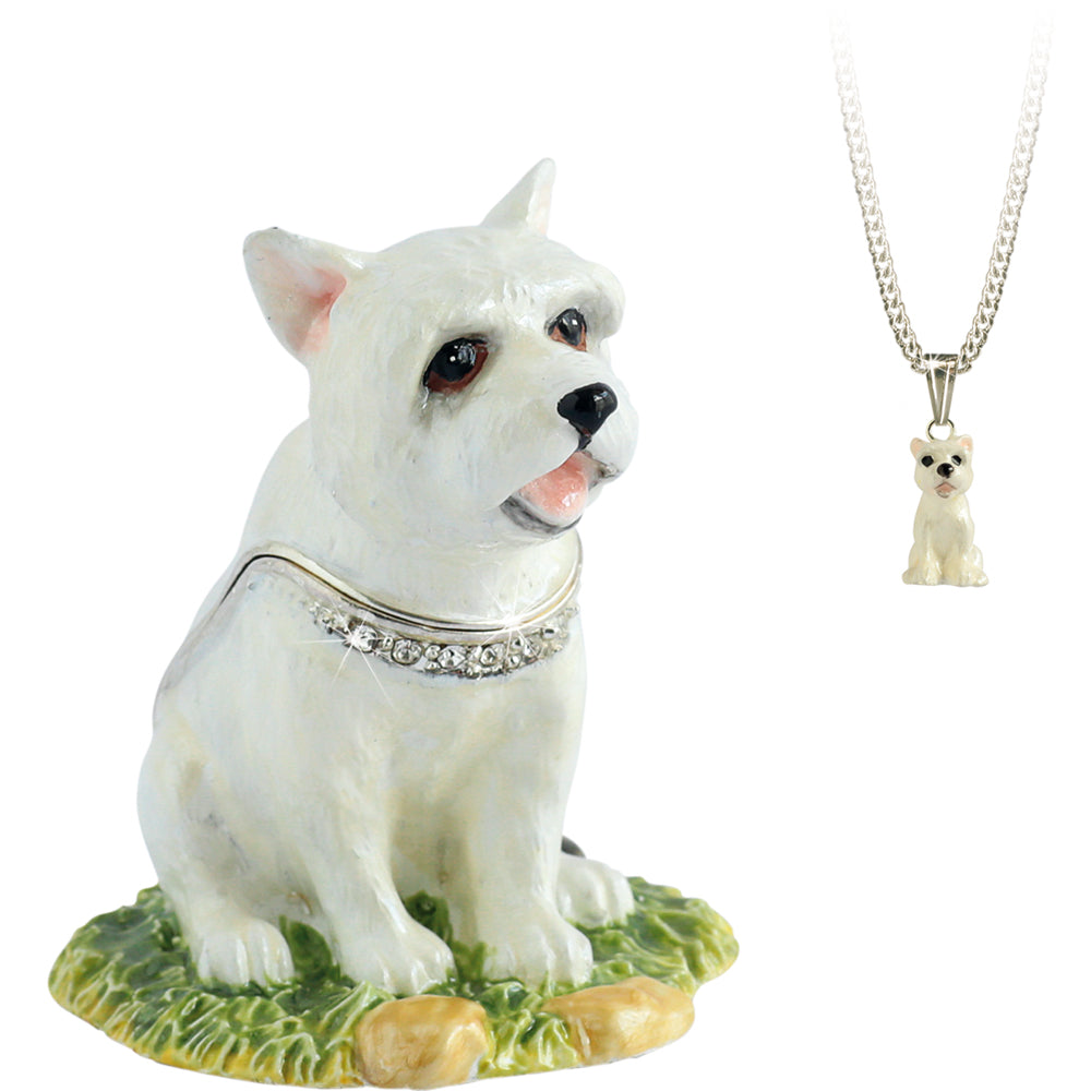 Westie
