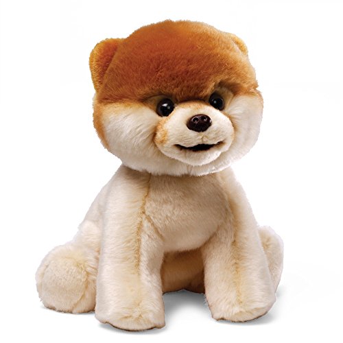Boo Dog