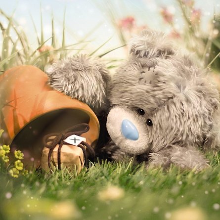 Bear with Flower Pot and Gift Birthday Card (3D Holographic)