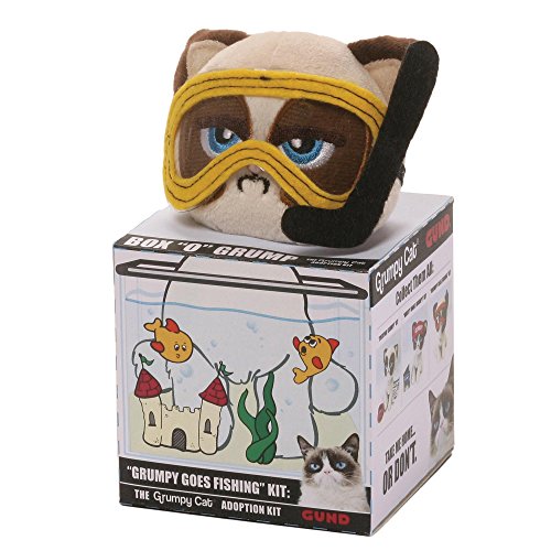 Box 'O' Grump - Grumpy Cat Goes Fishing