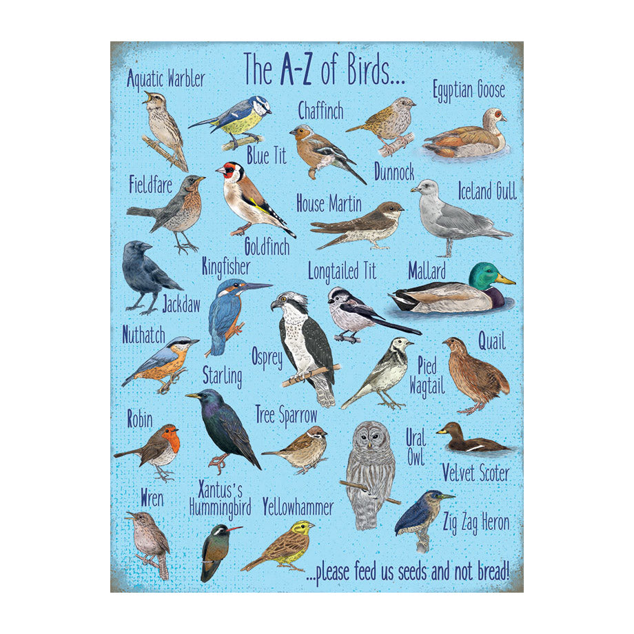 The A-Z of Birds (Small)