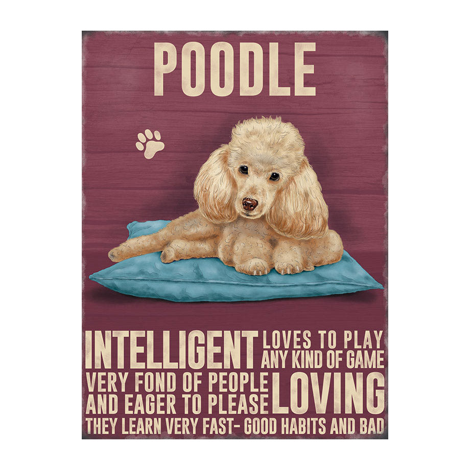 Apricot Poodle (Small)