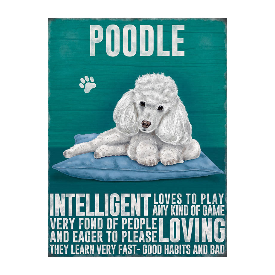 White Poodle (Small)