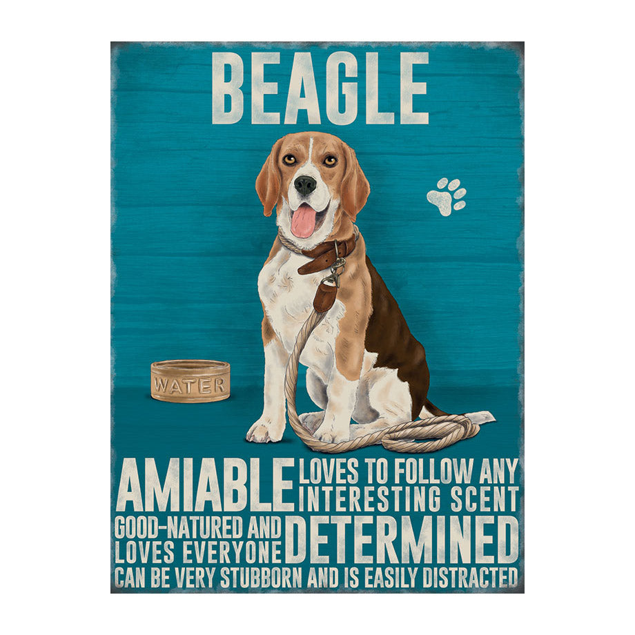 Beagle (Small)
