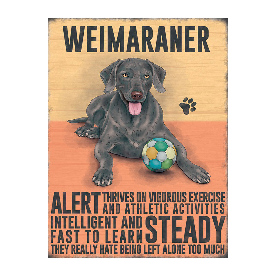 Weimaraner - Silver Grey (Small)